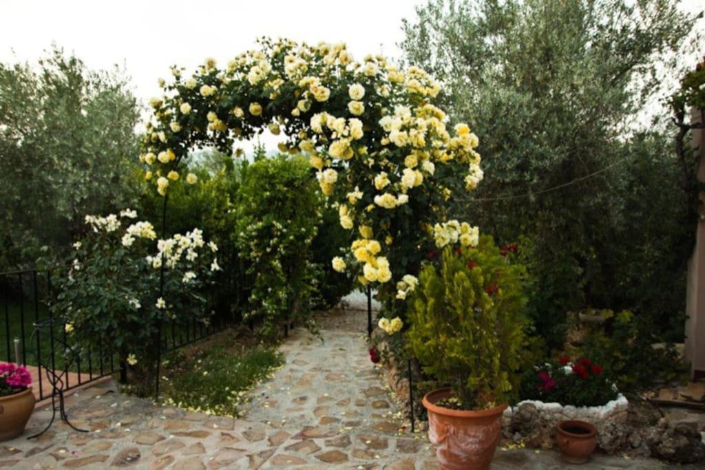 Cazorla-Alcon, Casa Hoya Don Gaspar Pozo Alcón Eksteriør billede