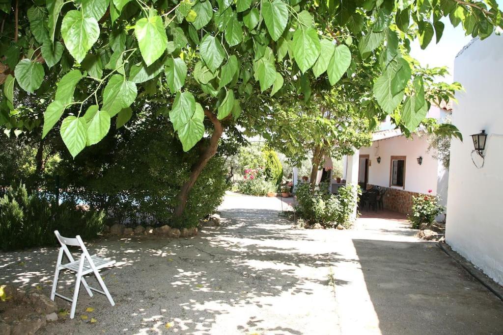 Cazorla-Alcon, Casa Hoya Don Gaspar Pozo Alcón Eksteriør billede